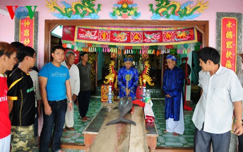 Активизация туристического сотрудничества между провинциями Центрального Вьетнама и плато Тэйнгуен - ảnh 1
